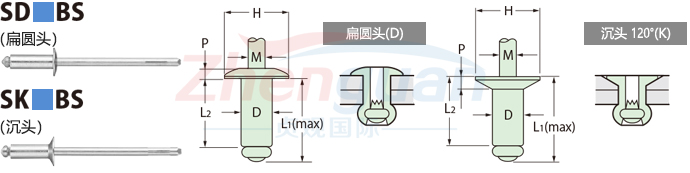 POP(bio)ͳоTSDBS/SKBSϵ